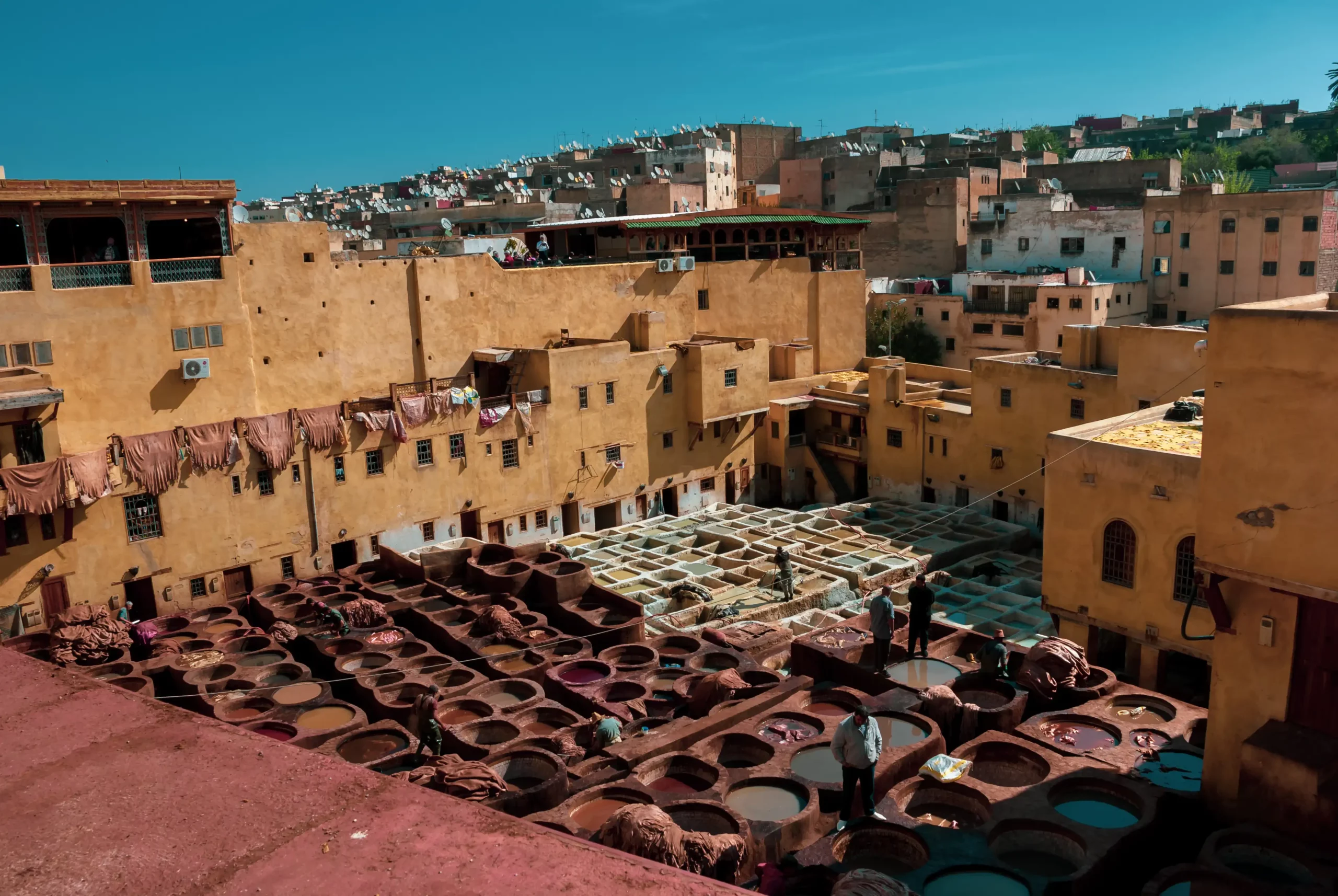 Chouara Tannery, Fez