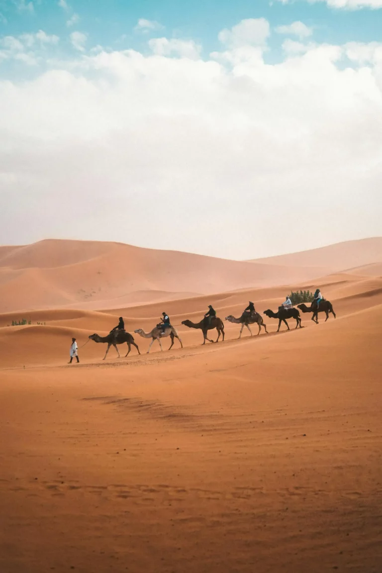 Morocco Private Tours