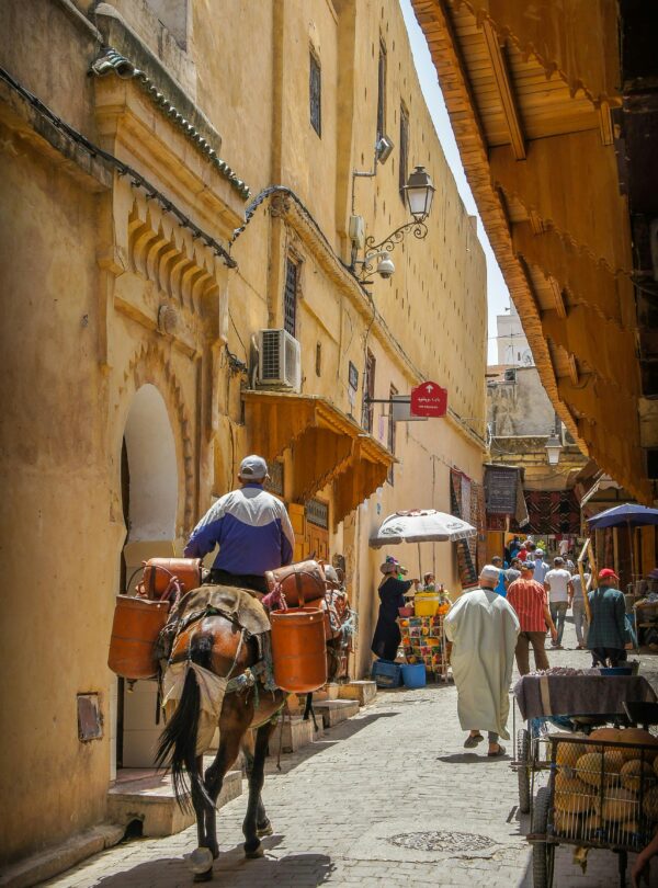 Fez medina souq
